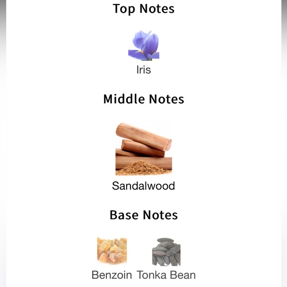 Santal Austral Matiere Premiere - Picture 4 of 4